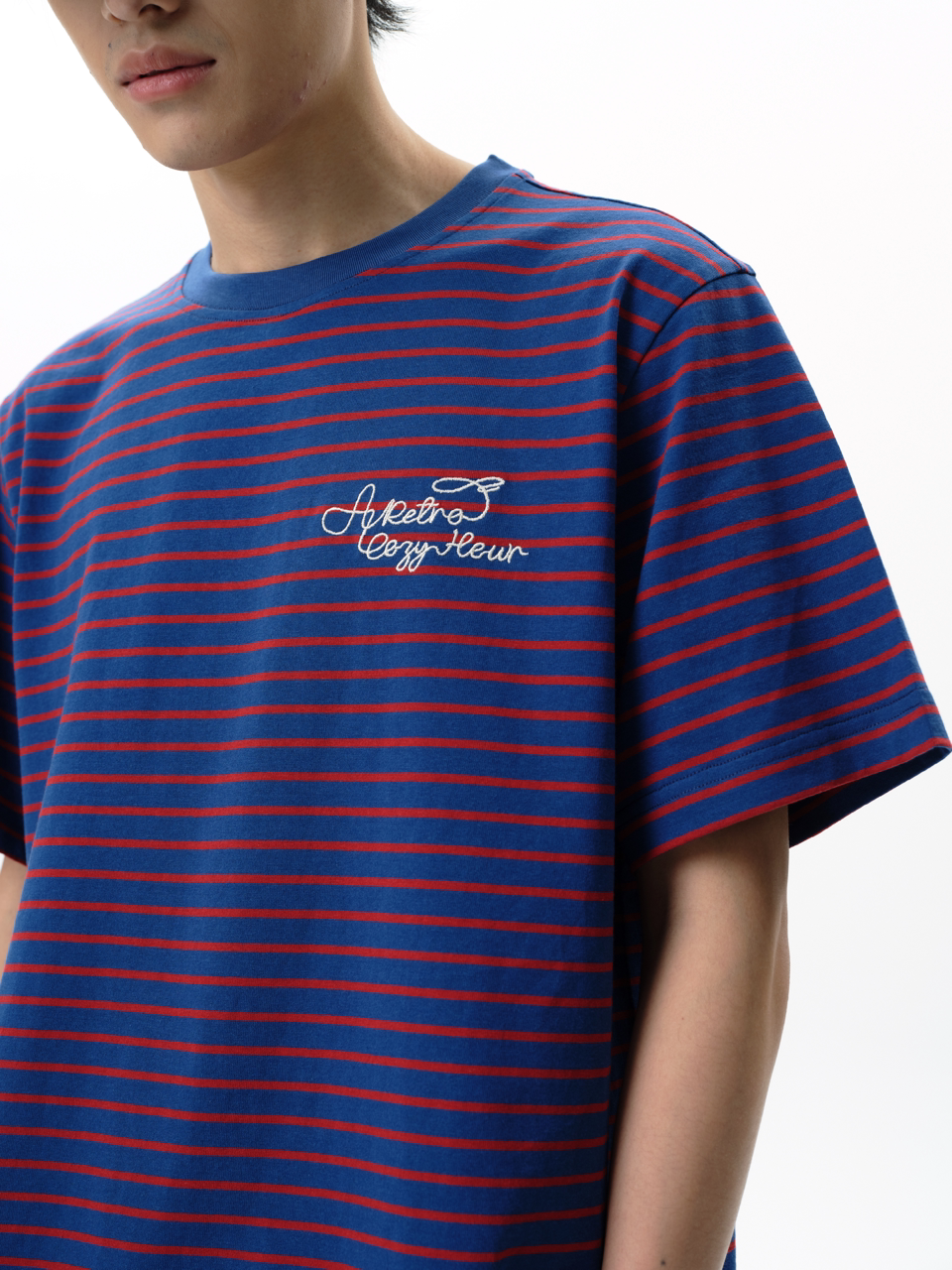 RoaringWild A Arch Roaring Beast Color-Blocked Striped Crew Neck Short Sleeve Loose Embroidered Commuter T-shirt for Men