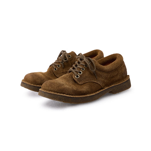 Old Leather Shoes